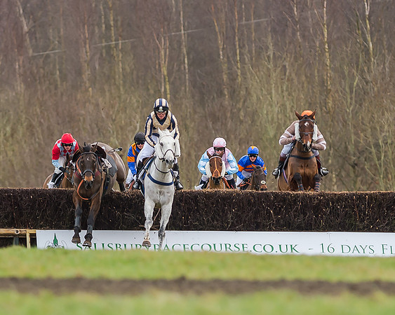 Race 5 (50 of 120)