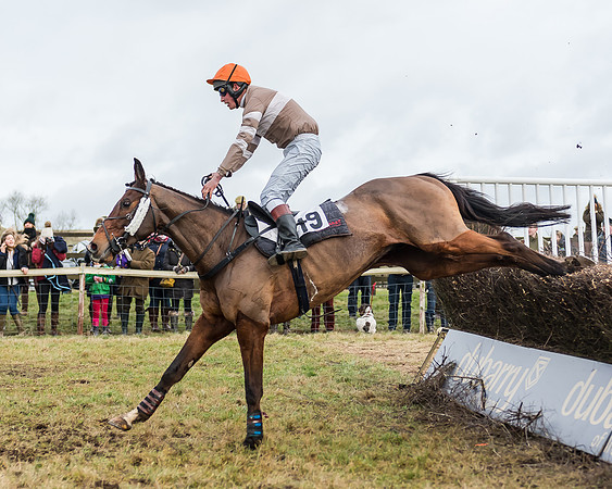 Race 5 (73 of 120)