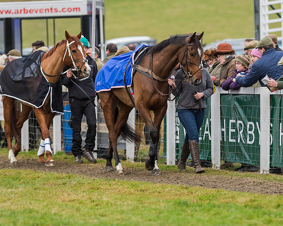 Race 6 (4 of 138)