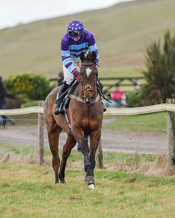 Race 6 (22 of 138)