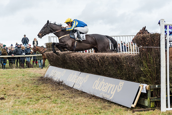 Race 6 (86 of 138)