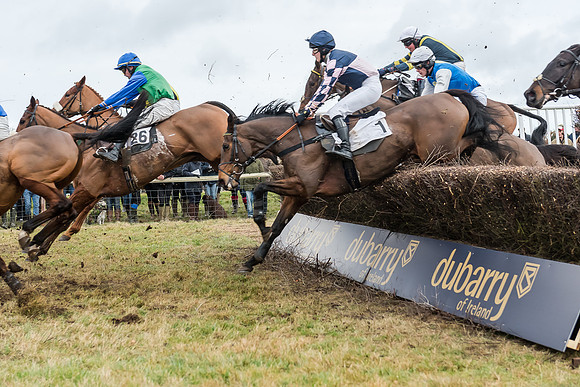 Race 6 (90 of 138)
