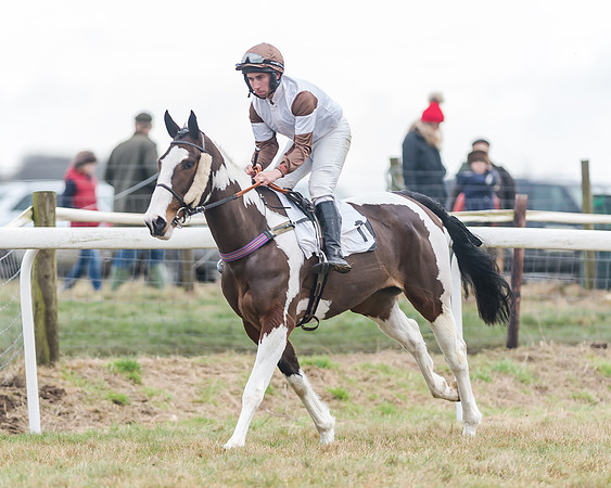 Race 7 (7 of 79)