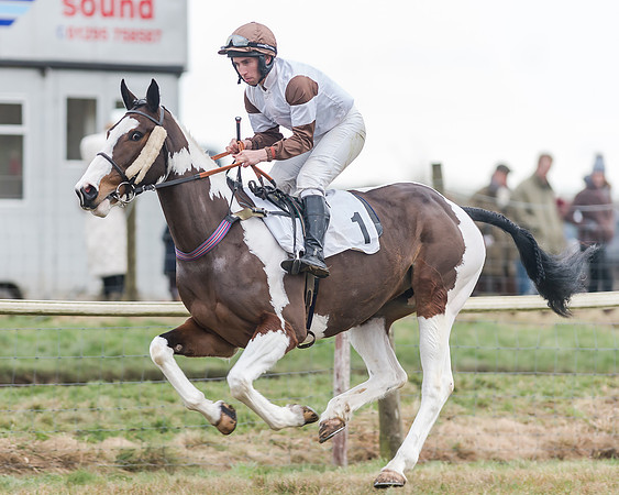Race 7 (8 of 79)