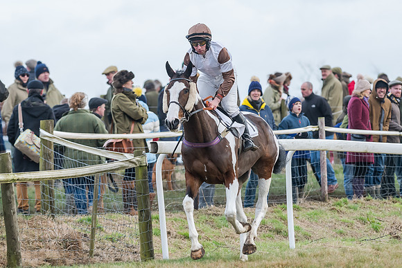 Race 7 (55 of 79)