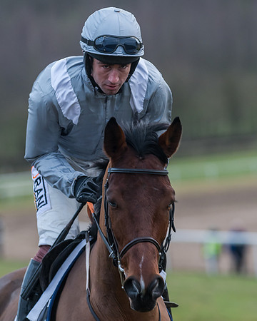 Race 8  (11 of 107)
