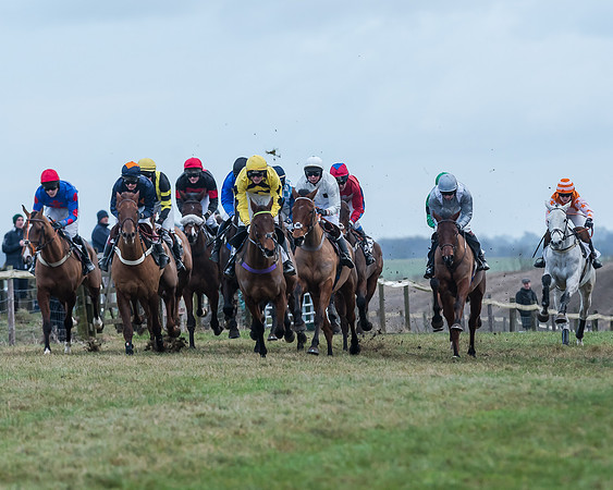 Race 8  (19 of 107)