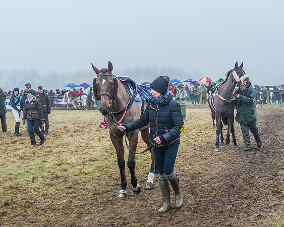 Race 7-12