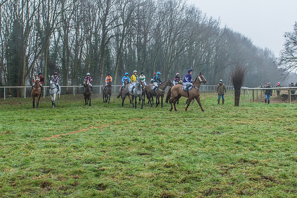 Race 7-81