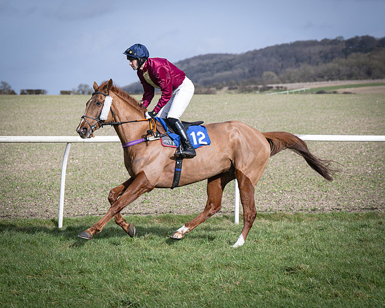 Race 3 - The Maiden Conditions (48 of 214)