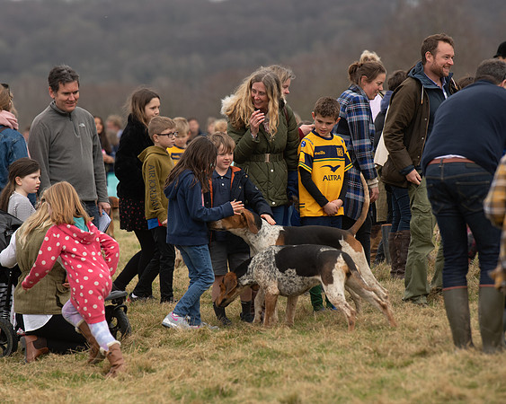 Hounds and Others (60 of 100)