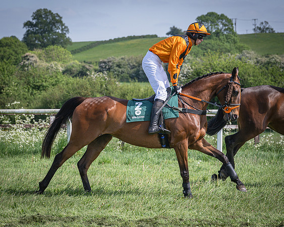 Race 4 - Novice Riders Final (15 of 97)