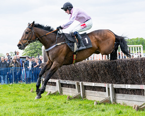 Race 2 - Veteran Horse (55 of 80)