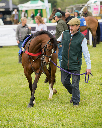 Pony Race 1  (31 of 125)