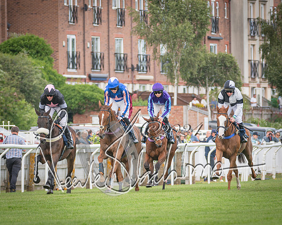 Race 1 - Pointing Pointers Restricted Final (36 of 79)
