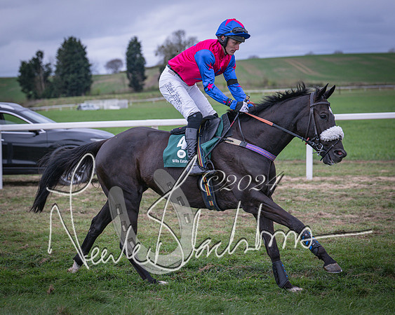 Race 6 - The Restricted Race (17 of 101)