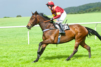 KM3_8194