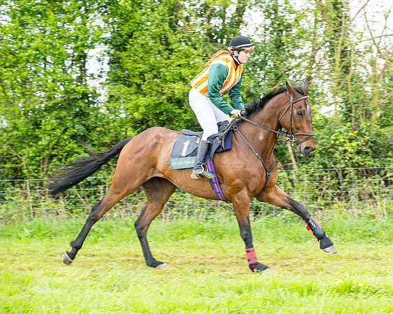 Race 2 - 2M4F Conditions (40 of 195)