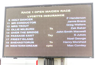 Race 1 - Opens Maiden (2 of 150)