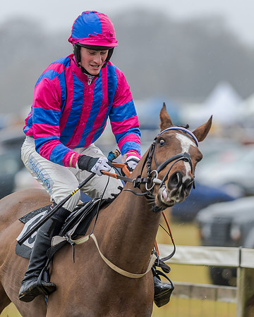 Race 1 - Opens Maiden (7 of 150)