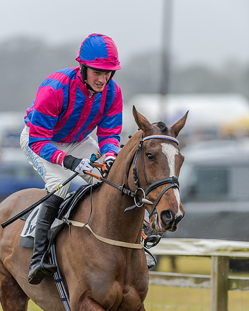 Race 1 - Opens Maiden (8 of 150)
