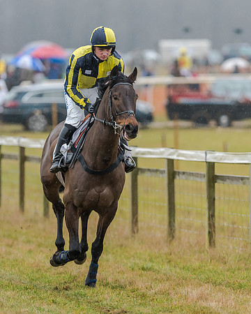 Race 1 - Opens Maiden (9 of 150)