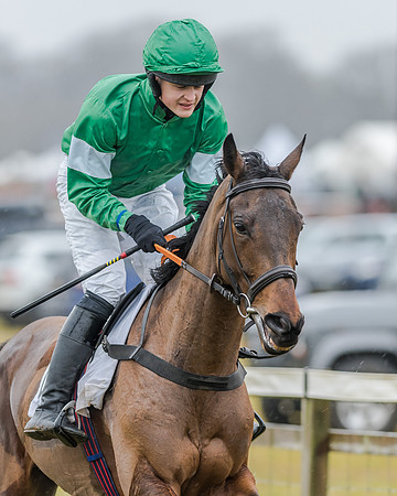 Race 1 - Opens Maiden (14 of 150)