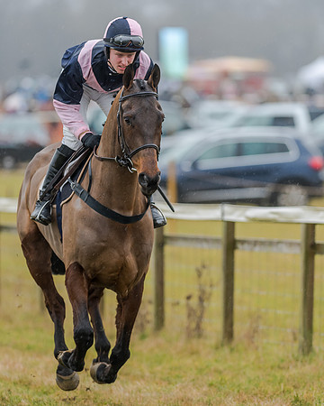 Race 1 - Opens Maiden (15 of 150)
