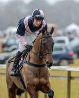 Race 1 - Opens Maiden (16 of 150)