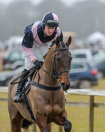 Race 1 - Opens Maiden (16 of 150)