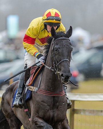Race 1 - Opens Maiden (18 of 150)