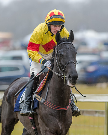 Race 1 - Opens Maiden (19 of 150)
