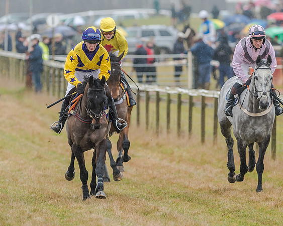 Race 1 - Opens Maiden (20 of 150)