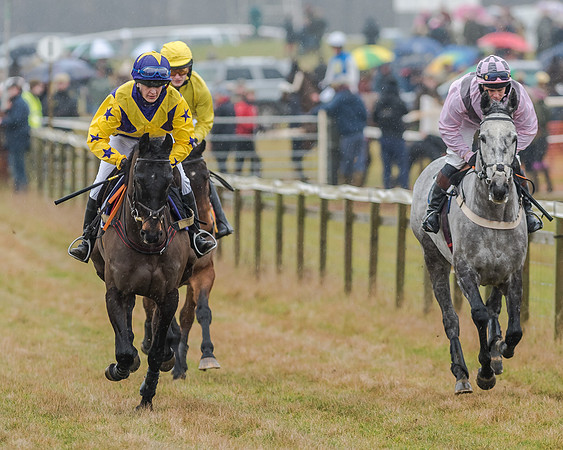 Race 1 - Opens Maiden (21 of 150)