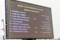 Race 2 - Intermediate Race (2 of 130)