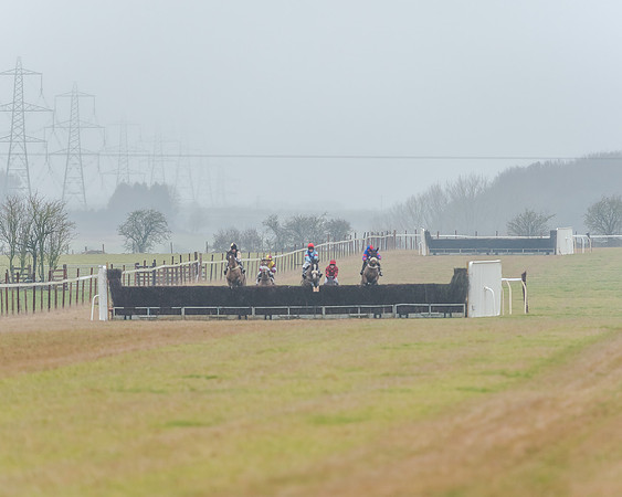 Race 3 - Young Horse Maiden (3 of 49)