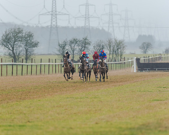 Race 3 - Young Horse Maiden (8 of 49)