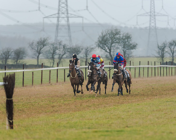 Race 3 - Young Horse Maiden (11 of 49)