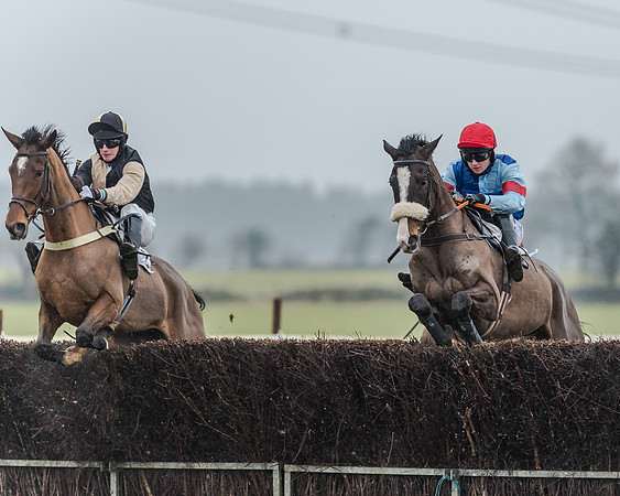 Race 3 - Young Horse Maiden (13 of 49)