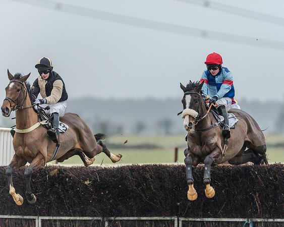 Race 3 - Young Horse Maiden (14 of 49)