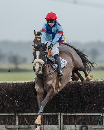 Race 3 - Young Horse Maiden (15 of 49)