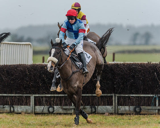 Race 3 - Young Horse Maiden (16 of 49)