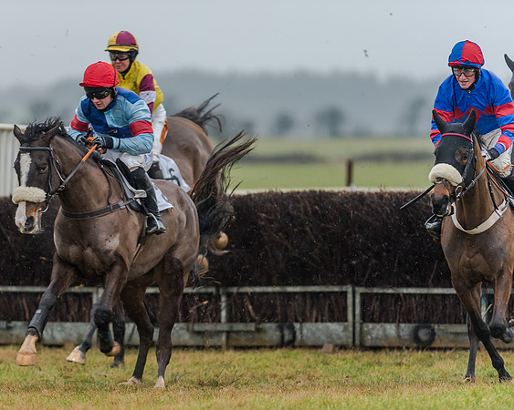 Race 3 - Young Horse Maiden (17 of 49)