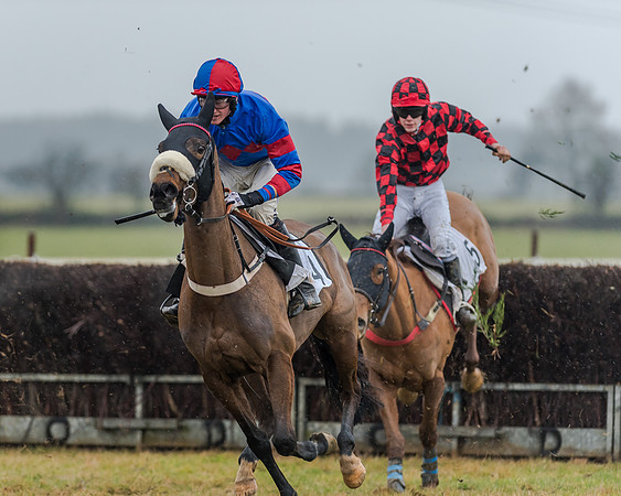 Race 3 - Young Horse Maiden (18 of 49)