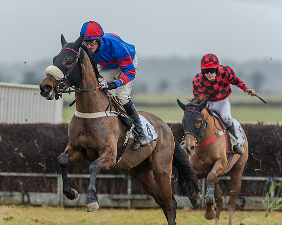 Race 3 - Young Horse Maiden (19 of 49)