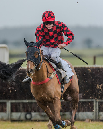 Race 3 - Young Horse Maiden (20 of 49)