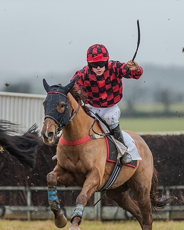 Race 3 - Young Horse Maiden (21 of 49)