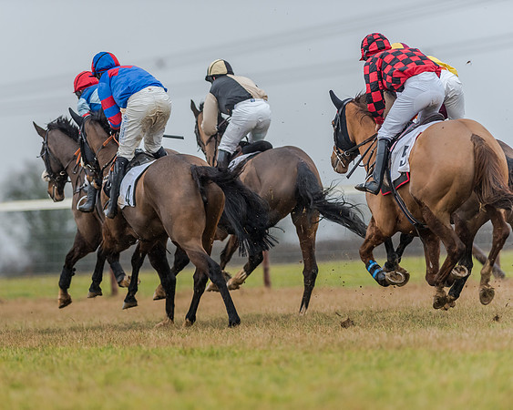 Race 3 - Young Horse Maiden (22 of 49)