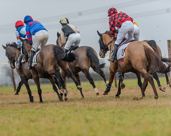 Race 3 - Young Horse Maiden (23 of 49)