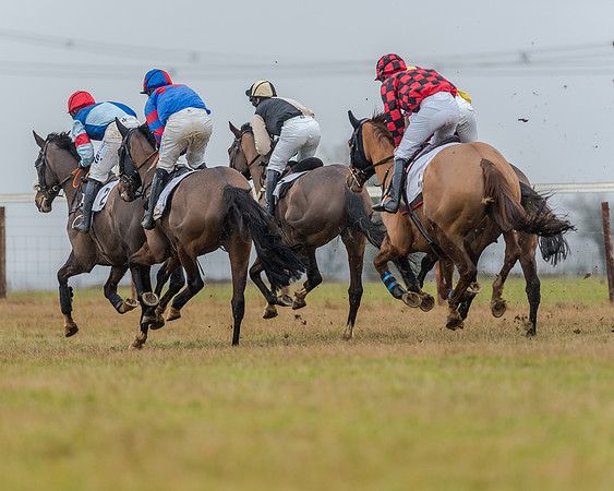 Race 3 - Young Horse Maiden (24 of 49)